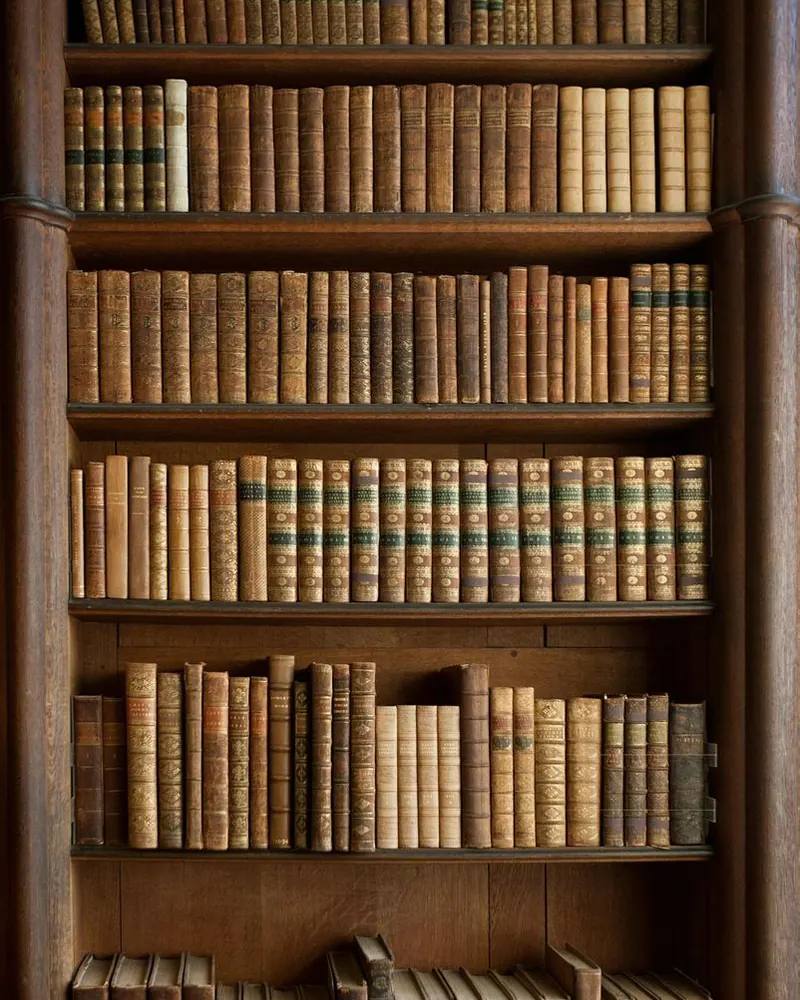 Eingebaute Regalwand aus dunklem Holz mit dicht gereihten, ledergebundenen alten Büchern